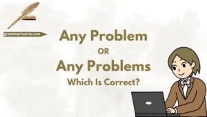 Any Problem or Any Problems – Which Is Correct?