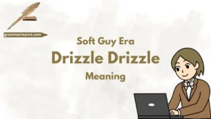 Soft Guy Era Drizzle Drizzle Meaning?
