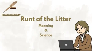 Runt of the Litter – Meaning & Science