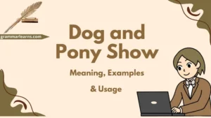 Dog and Pony Show – Meaning & Usage (With Examples)