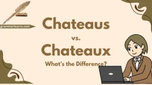 Chateaus vs Chateaux