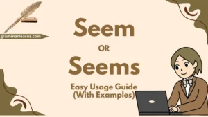 Seem or Seems - Easy Usage Guide (With Examples)