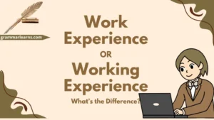 Work Experience or Working Experience