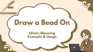 Draw a Bead On – Idiom, Meaning, Example & Usage