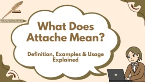 What Does Attache Mean? Definition, Examples & Usage Explained