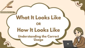 “What It Looks Like” or “How It Looks Like”? Understanding the Correct Usage