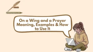 On a Wing and a Prayer - Meaning, Examples & How to Use It