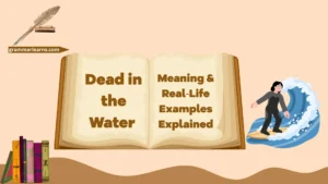 Dead in the Water – Meaning & Real‑Life Examples Explained